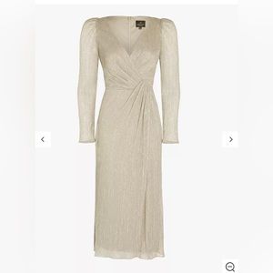 Beautiful Adrianna Pappell dress